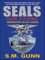 SEALs Sub Strike